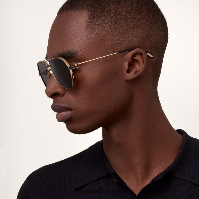 tilbehør Cartier premiere solbriller stilig F4466N1604