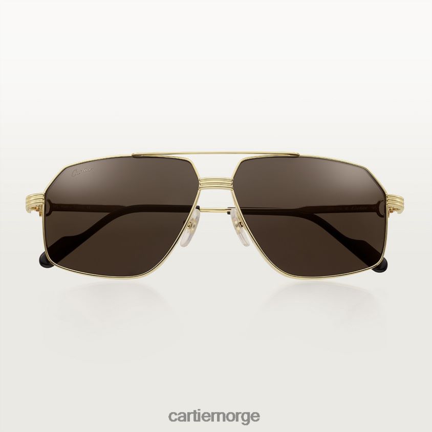 tilbehør Cartier premiere solbriller stilig F4466N1605