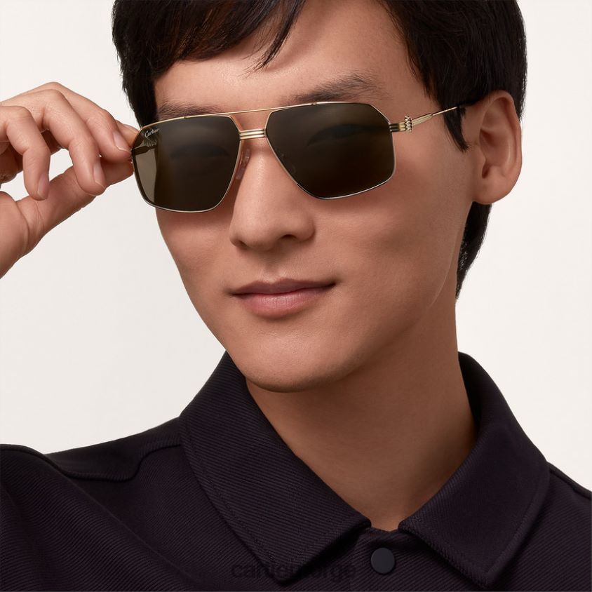 tilbehør Cartier premiere solbriller stilig F4466N1605