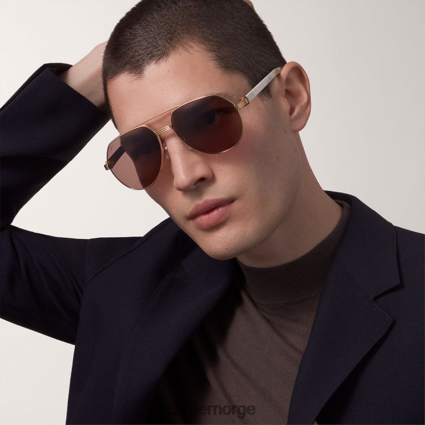 tilbehør Cartier premiere solbriller stilig F4466N1611