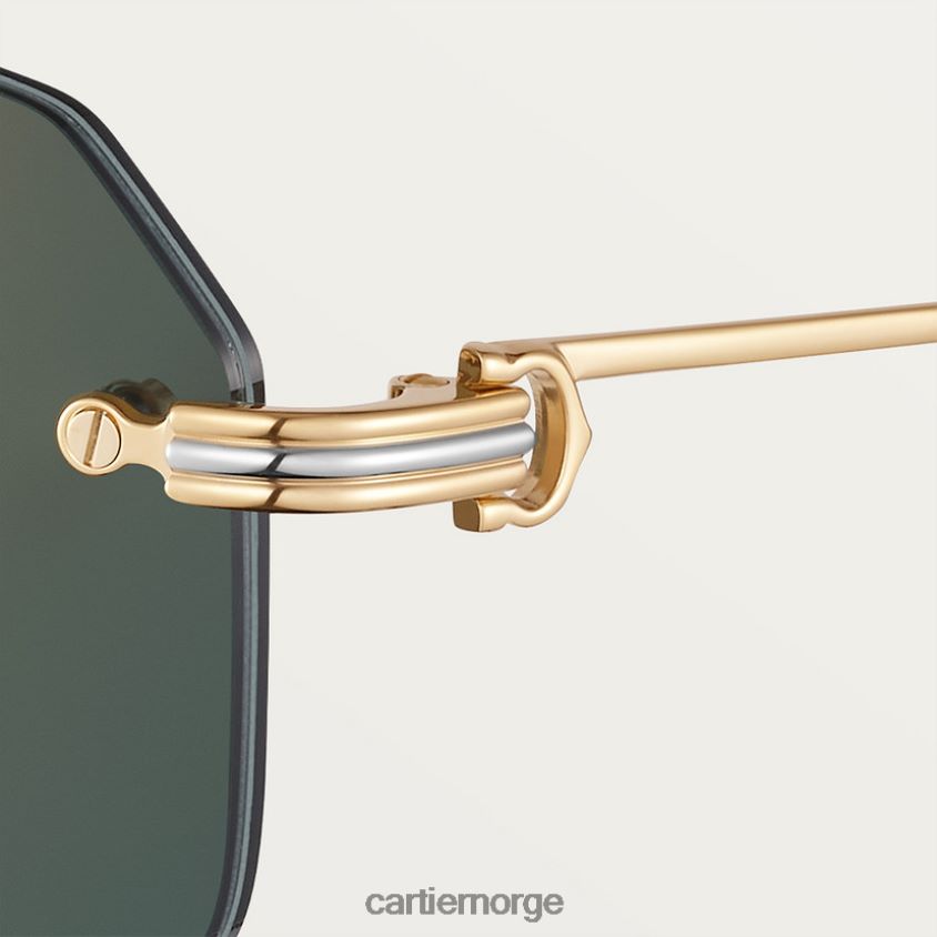 tilbehør Cartier premiere solbriller stilig F4466N1613