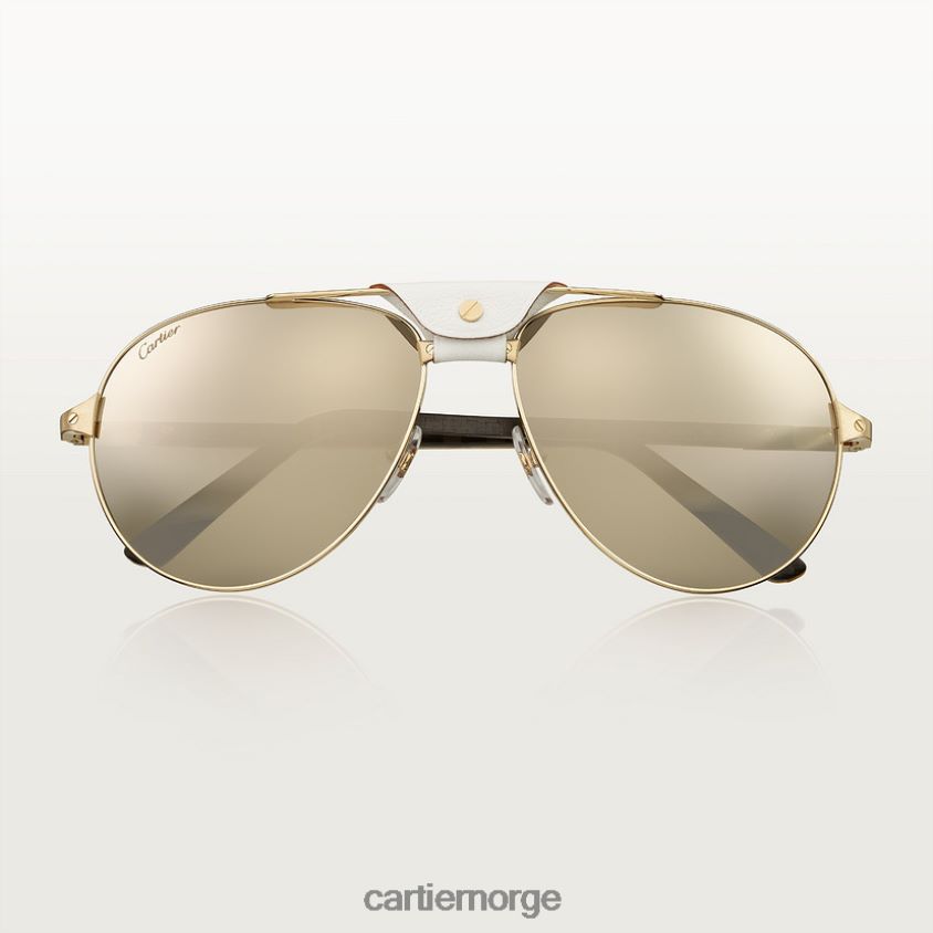 tilbehør Cartier santos solbriller stilig F4466N1574